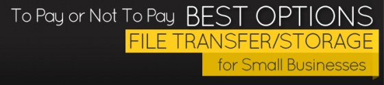 To Pay or Not To Pay. Best Options for Small Business File Transfer/Storage