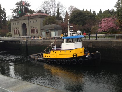 wasp boat