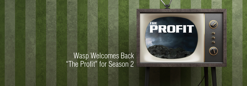 wasp-welcomes-profit-banner