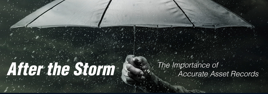 after-the-storm-banner