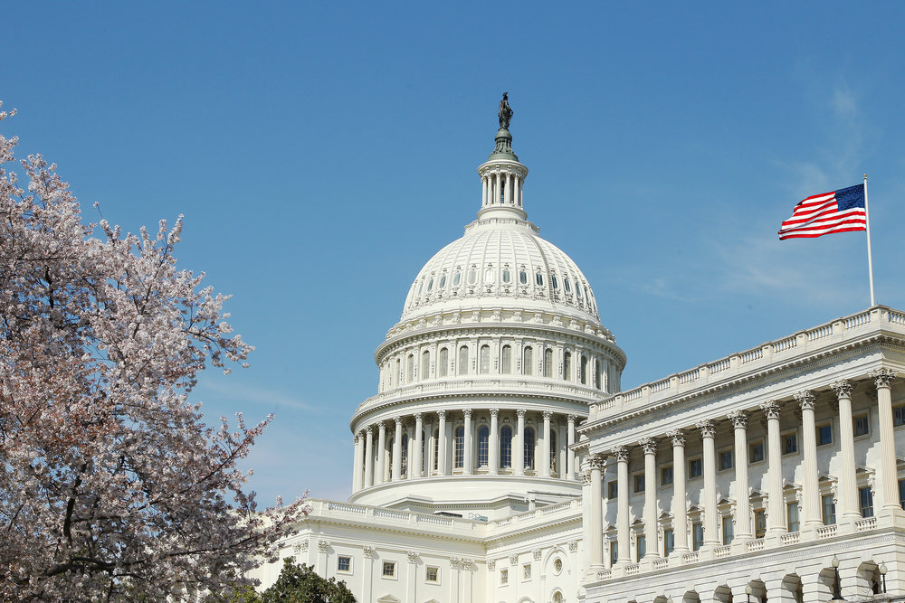 United States Capitol Rotunda. Senate and Representatives government home in Washington D.C.